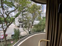 Mount Elizabeth Link (D9), Condominium #572933761